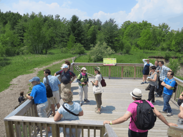 Toronto-Rouge Park-Vista Trail viewing deck