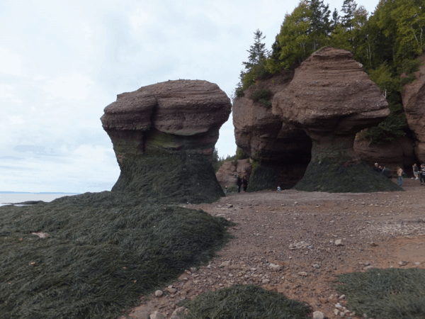 New Brunswick-Hopewell Rocks