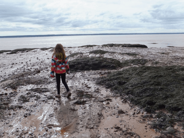 New Brunswick-Exploring ocean floor at low tide - Hopewell Rocks