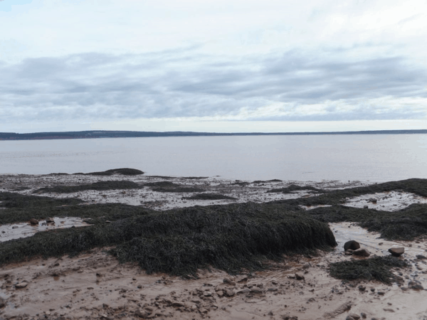 New Brunswick-Hopewell Rocks