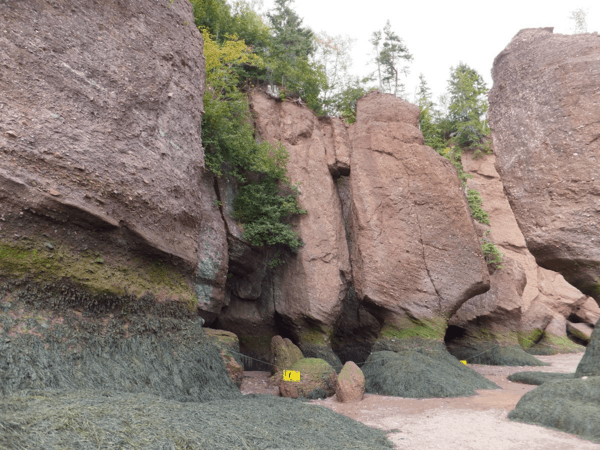 New Brunswick-Hopewell Rocks