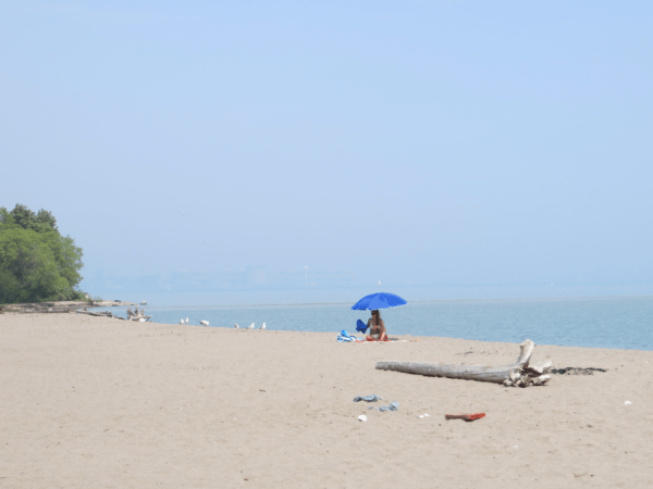 Toronto-Beach in Future Rouge National Urban Park