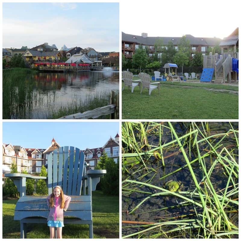 Mill Pond Blue Mountain Collage