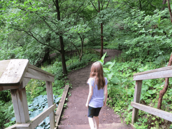 Woodland gardens walk at Royal Botanical Gardens