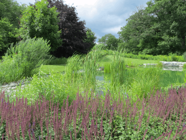 Helen M. Kippax Garden at Royal Botanical Gardens