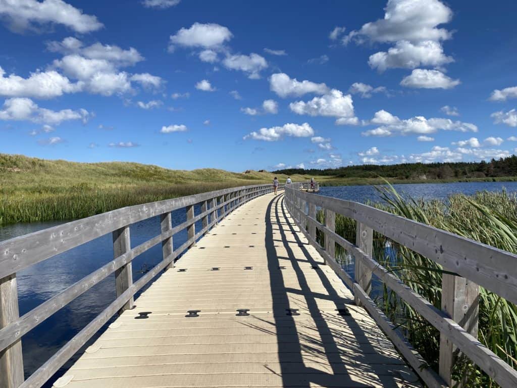 Dunelands boardwalk at Cavendish Beach in Prince Edward Island National Park.