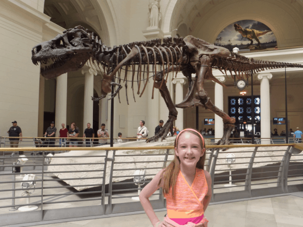 Chicago-Sue the T-Rex at the Field Museum