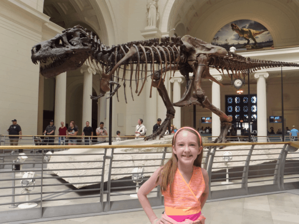Chicago-Sue the T-Rex at the Field Museum Chicago-Sue the T-Rex at the Field Museum