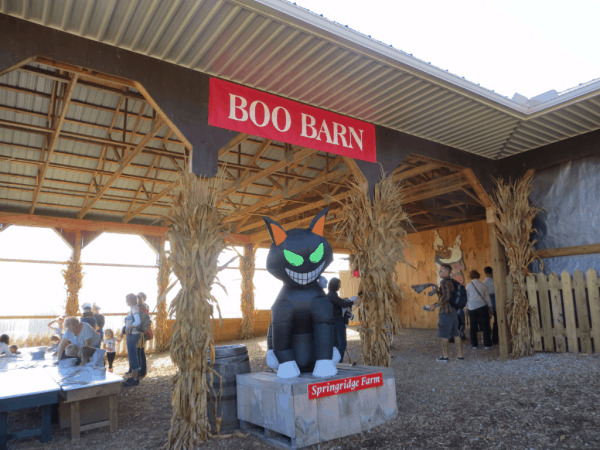 Springridge Farm - Boo Barn