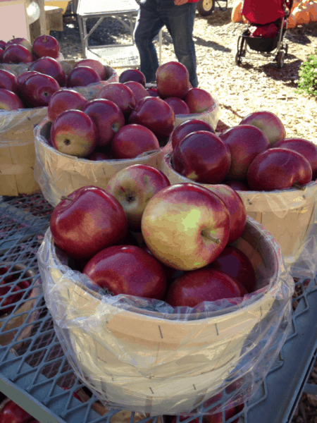 Springridge Farm - Baskets of Apples
