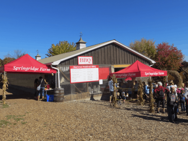 Springridge Farm - Harvest Festival BBQ