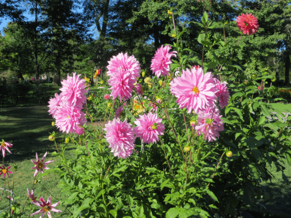 Halifax Public Gardens-Nova Scotia