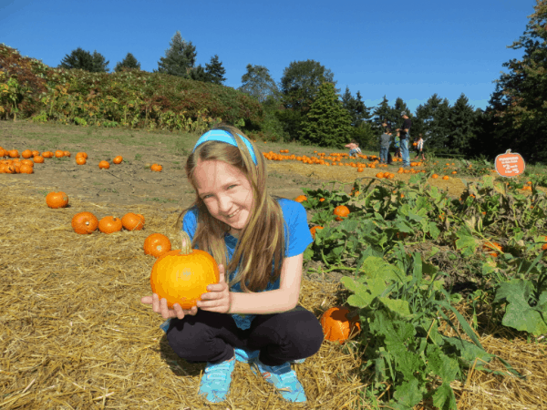 Ontario-Springridge Farm-pumpkins