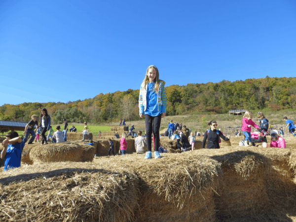 Springridge Farm-haystacks