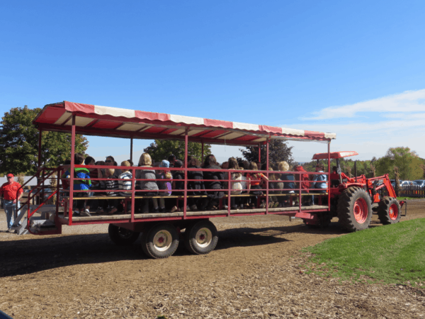 Ontario-Springridge Farm - Wagon Ride