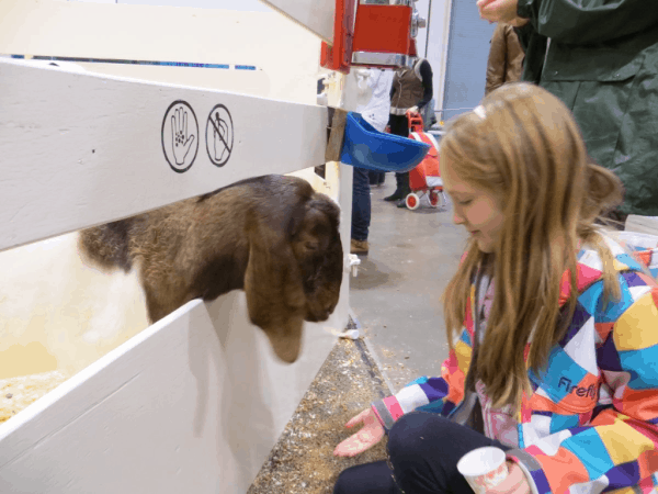 Toronto-Royal Agricultural Winter Fair