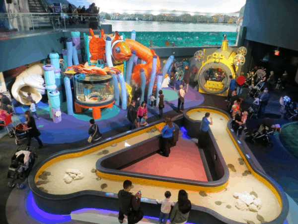 Toronto-Ripleys-Aquarium-View of Discovery-Centre