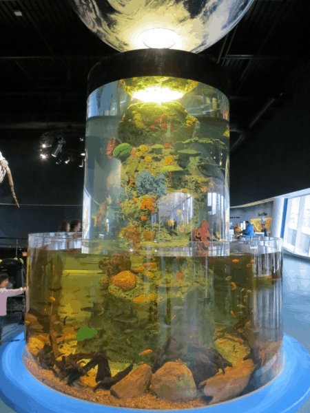 Ripleys-aquarium-canada-entrance