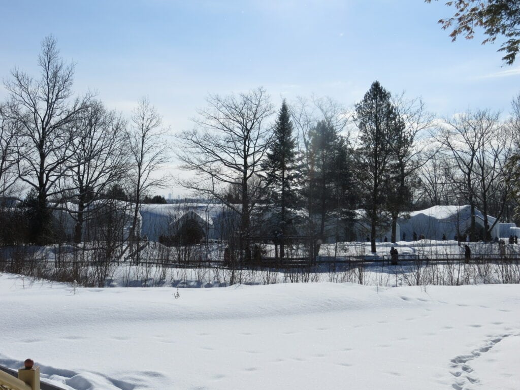 field of snow with ice hotel structure visible behind trees.