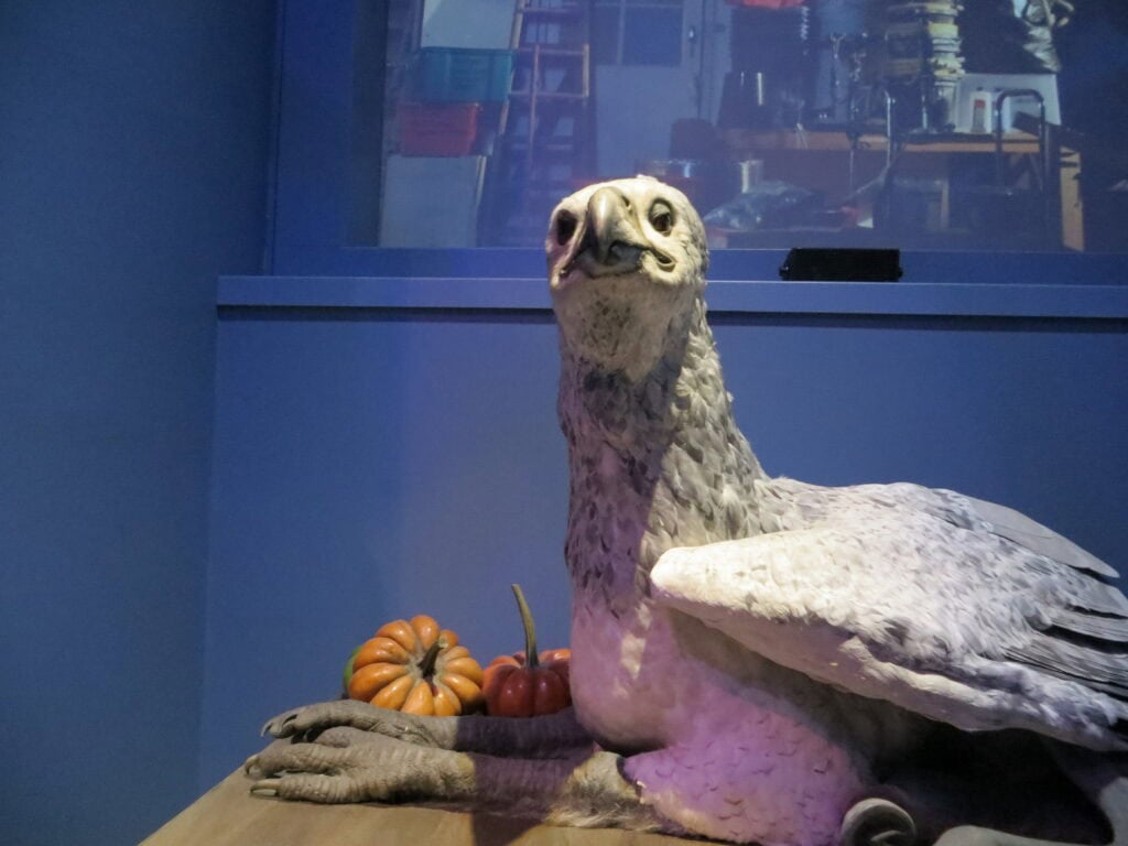 buckbeak the hippogriff at the making of harry potter