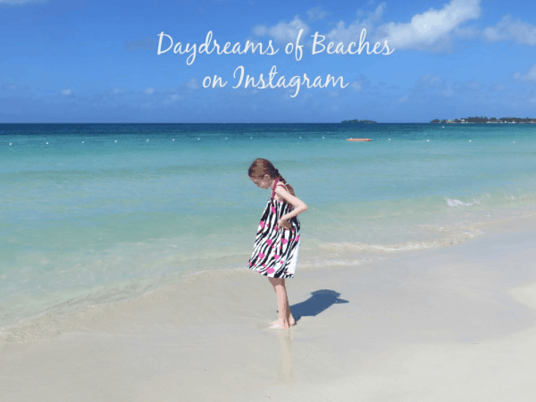 Daydreams of Beaches on Instagram