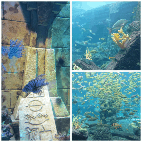 Bahamas-Atlantis Resort-The Dig collage