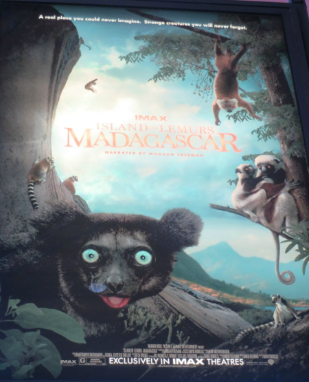 Ontario science centre-imax-madagascar-island of lemurs