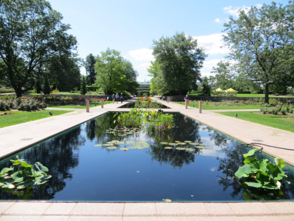 Royal botanical gardens-reflecting pool
