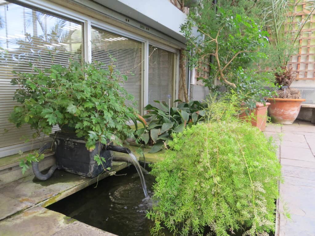 plants by fountain in floor of Mediterranean Garden.