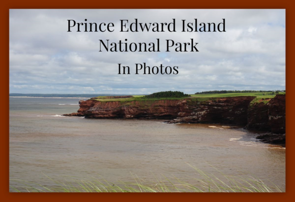 Prince Edward Island-red cliffs-graphic