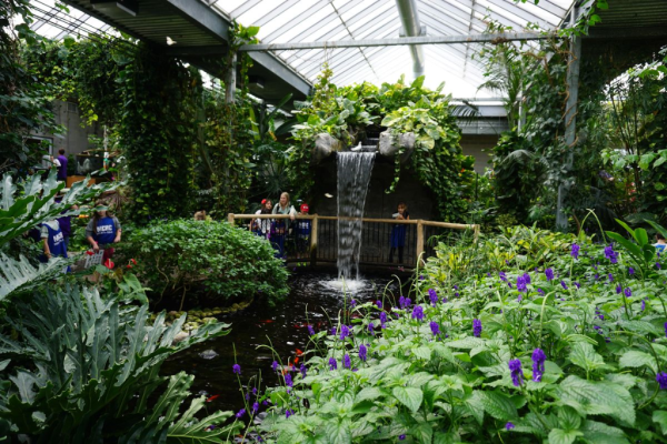 Cambridge butterfly conservatory-tropical garden waterfall