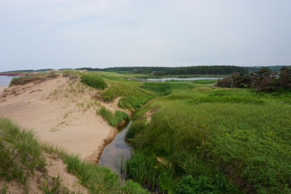 Prince edward island national park-cavendish beach-sand dunes