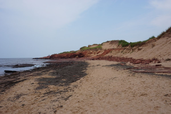 Prince edward island national park-cavendish beach-red cliffs