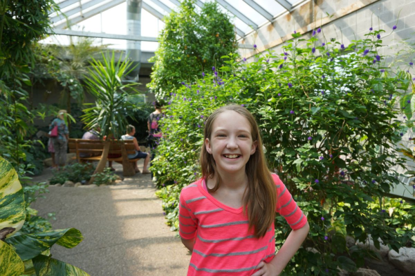 Cambridge butterfly conservatory-enjoying tropical garden