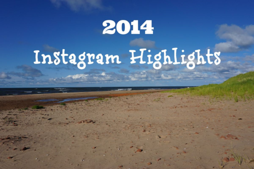 2014 instagram highlights