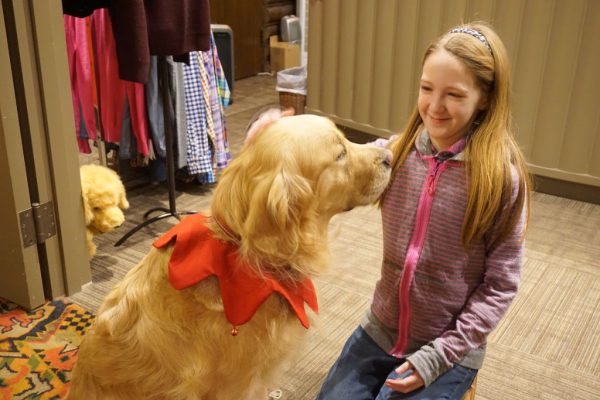 Chateau montebello-monte the canine ambassador