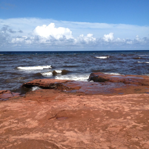 Prince edward island beach-instagram-august 2014