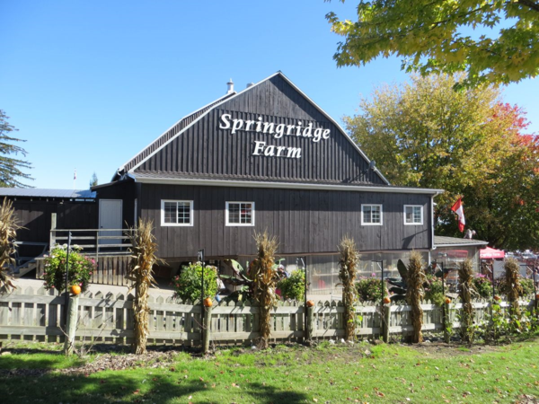 ontario-Springridge Farm