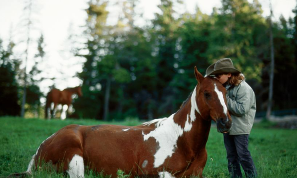 Spur alliance-flathead lake-child with horse