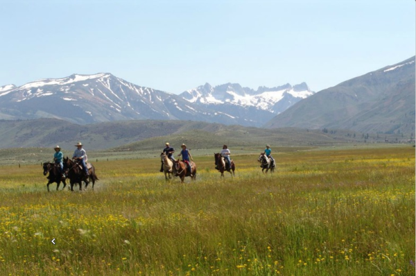 spur alliance-Hunewell ranch-horse riding
