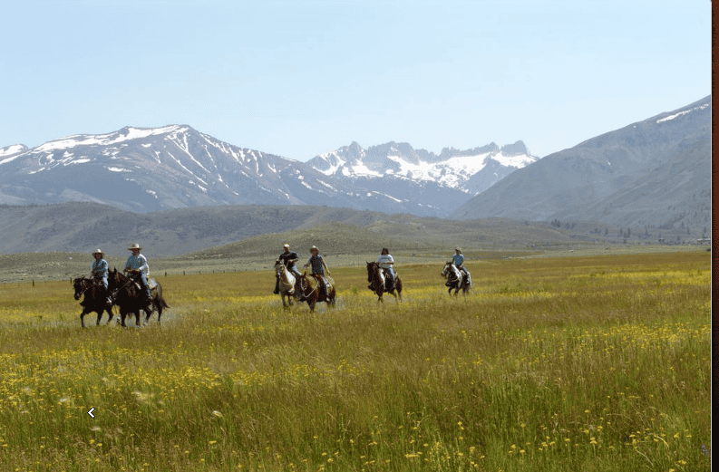 horses and riders in meadow with snow capped mountains in background.