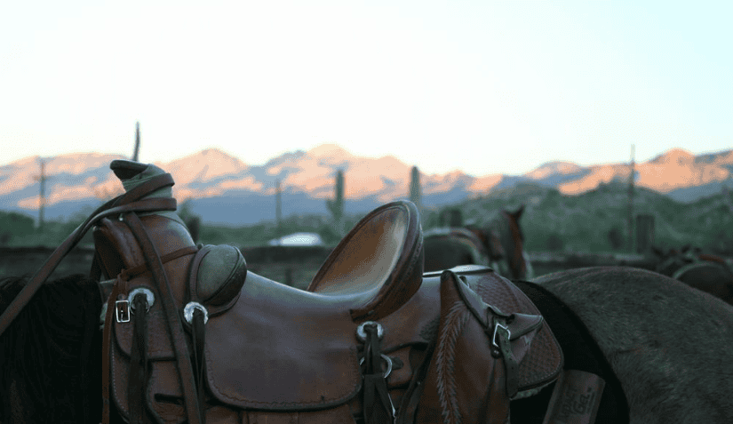 close up on saddle with saguaro and mountains in distance