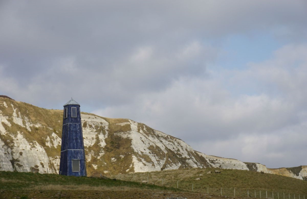 England-dover-cliffs-sheep-ed