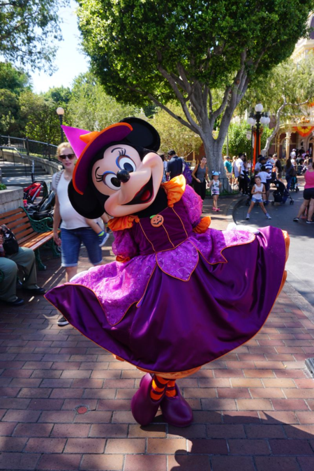 Disneyland-minnie mouse-halloween costume