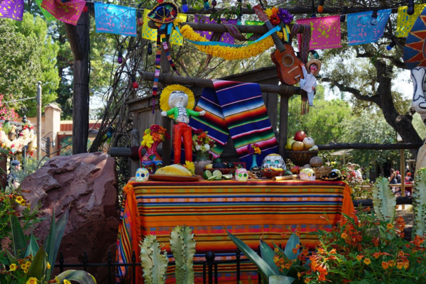 Disneyland-dia de los muertos display