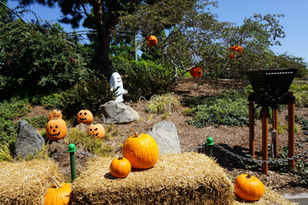 Legoland california-halloween-brick or treat-decorations