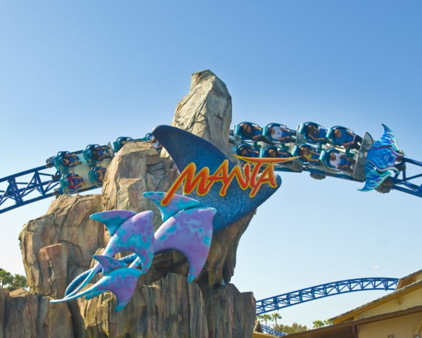 Manta-coaster-rockwork