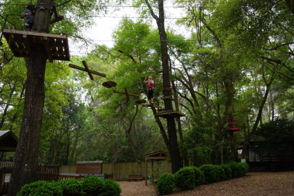 Florida-tallahassee museum-high ropes obstacle course