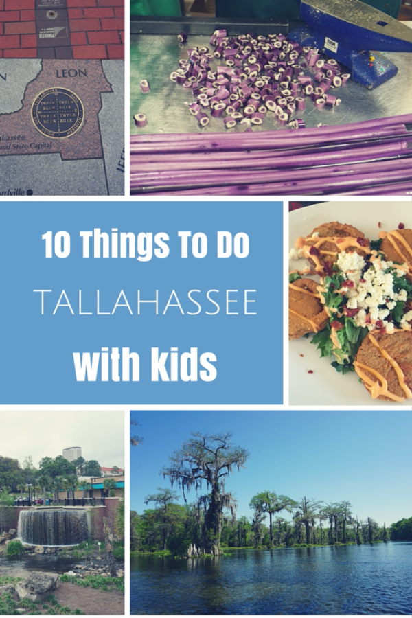 10 Things To Do in Tallahassee with Kids - Gone with the Family