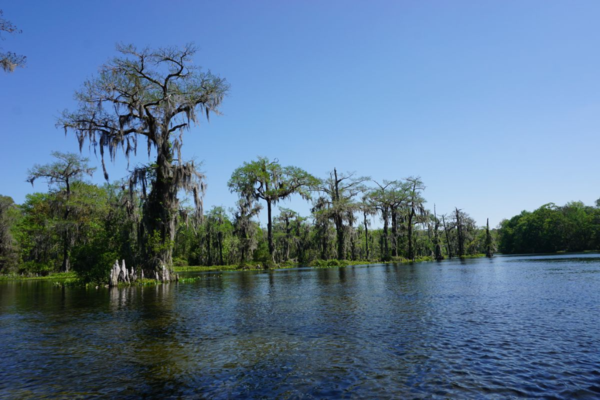 Florida-tallahassee-wakulla springs-river cruise